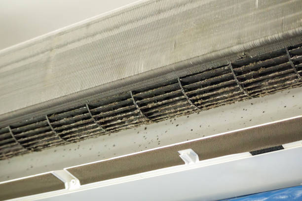 Best HVAC Maintenance and Cleaning  in Warren, MI