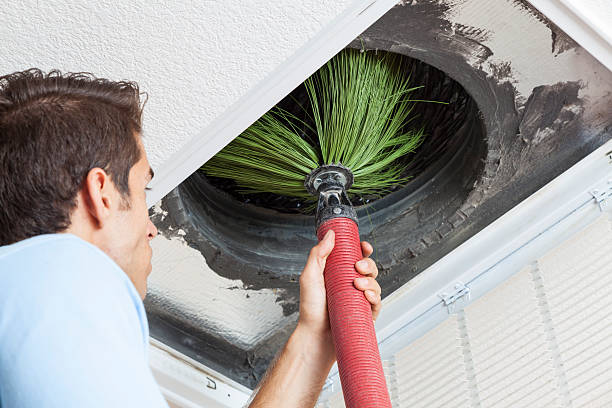 Best Air Vent Cleaning Services  in Warren, MI